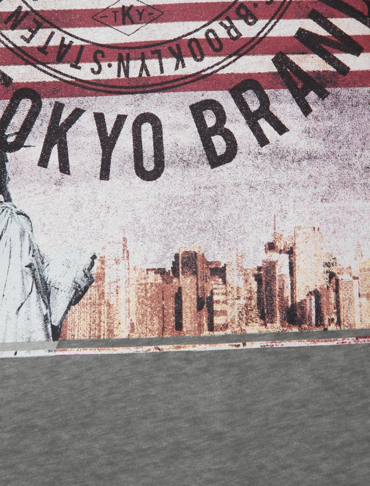 Auburn Point Burnout T-Shirt in Pewter Grey - Tokyo Laundry