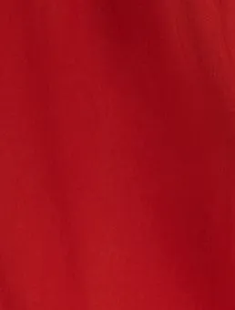 Cathleen Mini Moss Crepe Terracotta Red Tea Dress